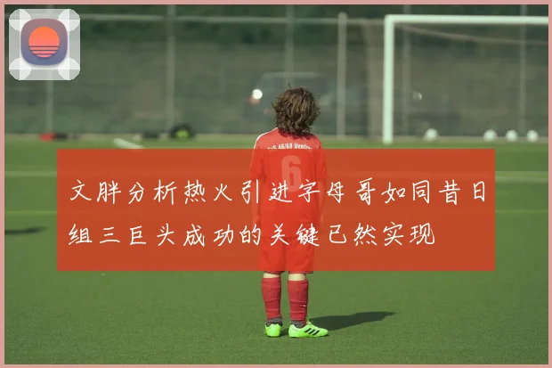 文胖分析热火引进字母哥如同昔日组三巨头成功的关键已然实现