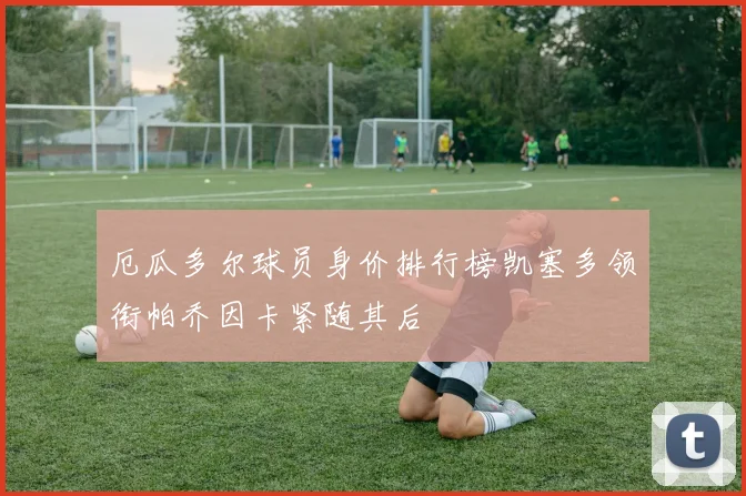 厄瓜多尔球员身价排行榜凯塞多领衔帕乔因卡紧随其后
